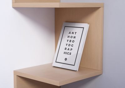 SAFETY OVERWATCH AND ENTRY