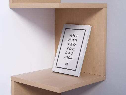 SAFETY OVERWATCH AND ENTRY