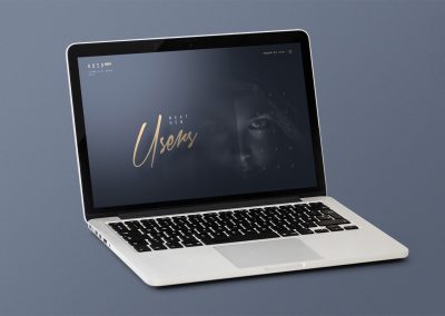 UAV IMAGING AND INSPECTION